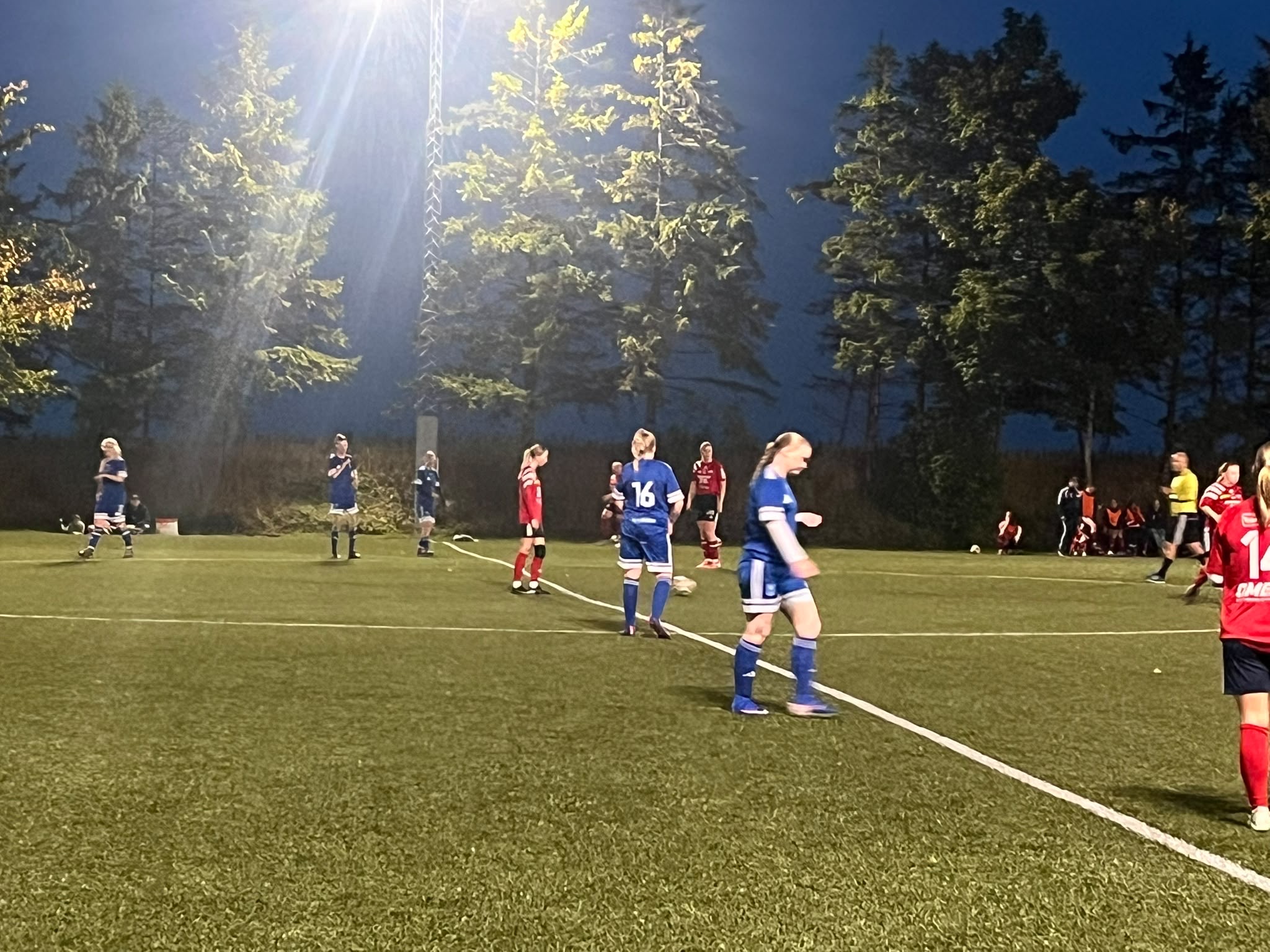 Damlaget klara för kval till Division 3